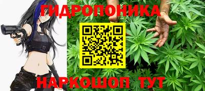 крисы Пушкино