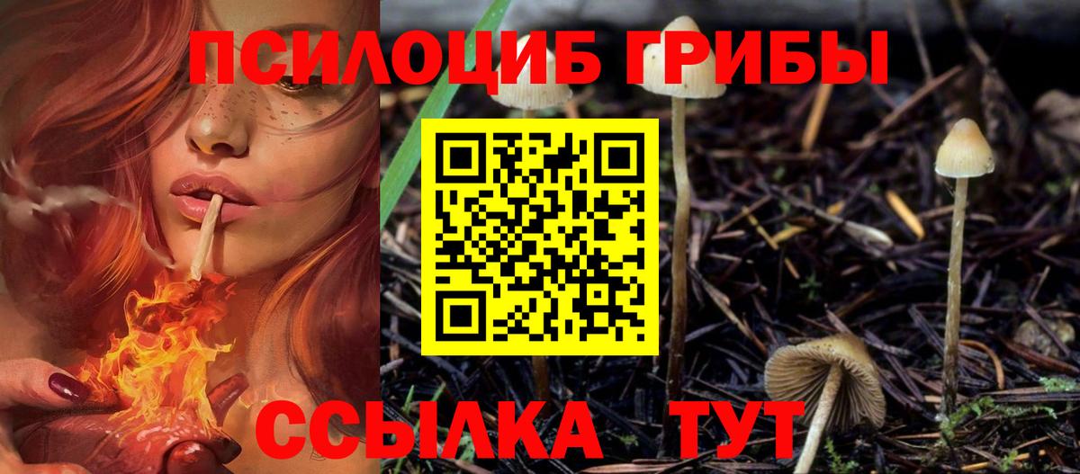 Галлюциногенные грибы Psilocybe  Вход с VPN  Псилоцибиновые грибы Cubensis  Тавда 